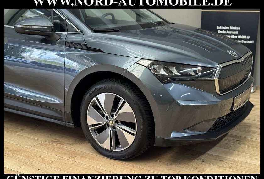 Skoda Enyaq Enyaq iV 60 Suite Leder/Kamera/Side&amp;Lane/19