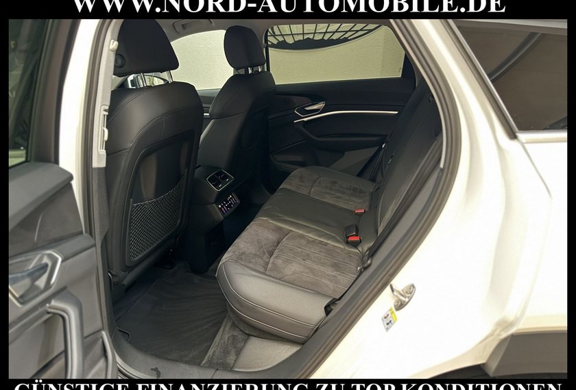 Audi e-tron e-tron 55 QU.Teilleder/Navi/LED/Side&amp;Lane/20