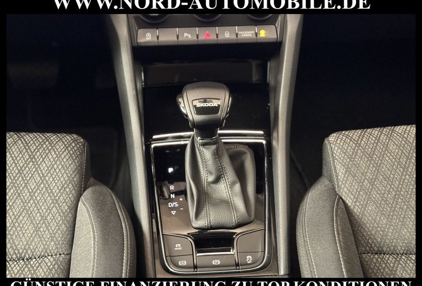 Skoda Karoq Karoq Style 2.0 TDI DSG Virt.Cockpit/Kamera/18