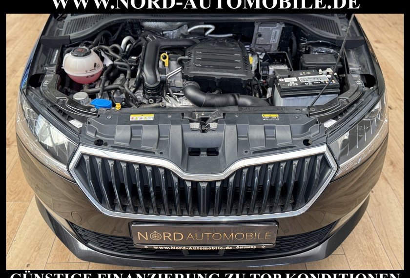 Skoda Fabia Fabia Ambition 1.0 TSI DSG Navi/PDC/ACC/AHK