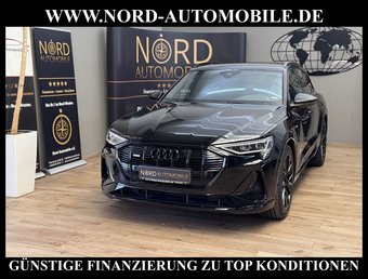 Audi e-tron e-tron S-Line QU. Optik schwarz Teilleder/Matrix