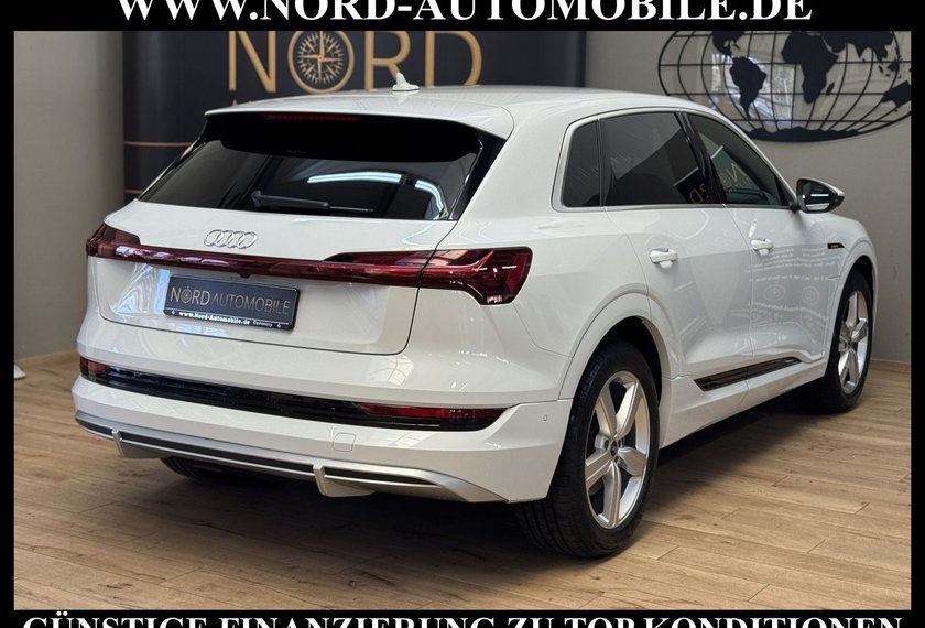 Audi e-tron e-tron 50 QU.S-Line Teilleder/Kamera/20/LED