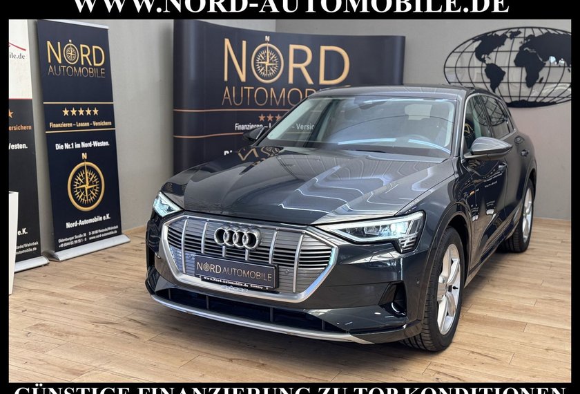 Audi e-tron e-tron 55 QU.Advanced Automatik Kamera/Navi/LED