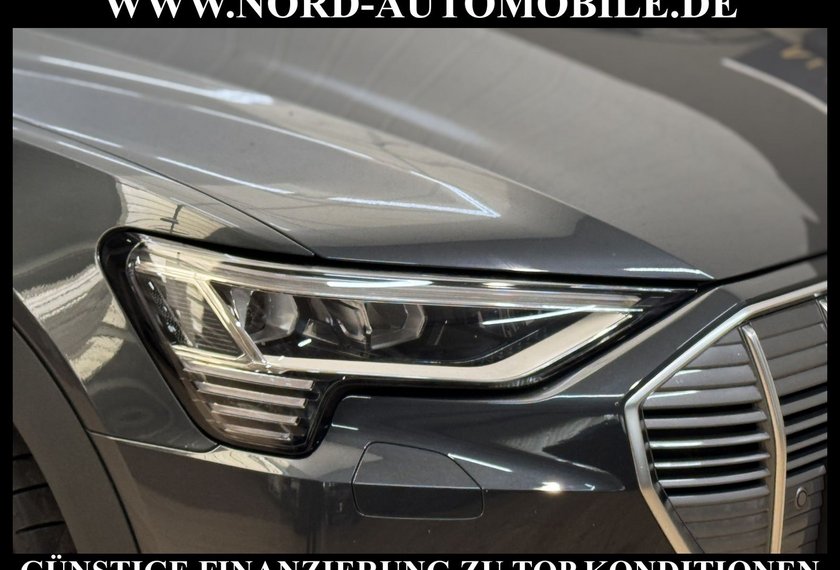 Audi e-tron e-tron 50 QU.Leder/Kamera/AHK/Panorama/21