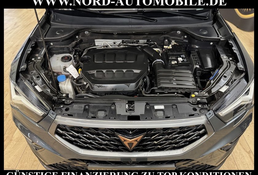 Cupra Ateca Ateca 2.0 TSI 4Drive DSG AHK Teilleder/Kamera/