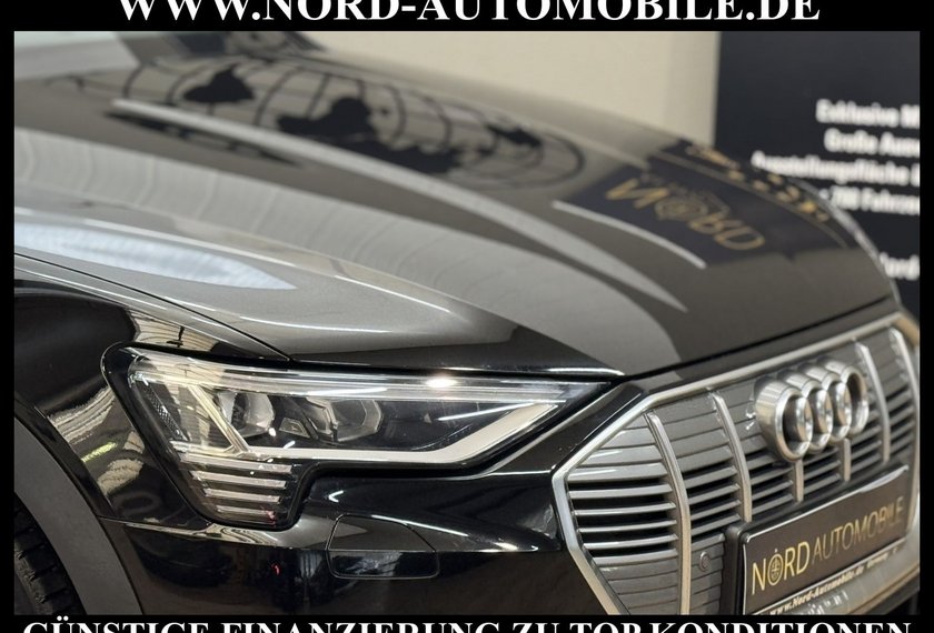 Audi e-tron e-tron 55 QU. Teilleder/AHK/Kamera/20/