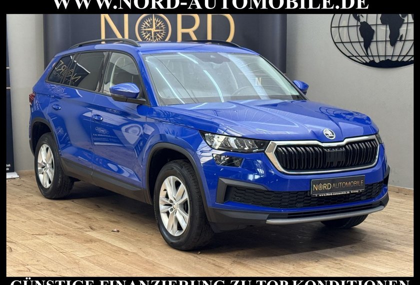 Skoda Kodiaq Kodiaq Ambition 2.0 TDI DSG Virt.Cockpit/Navi/