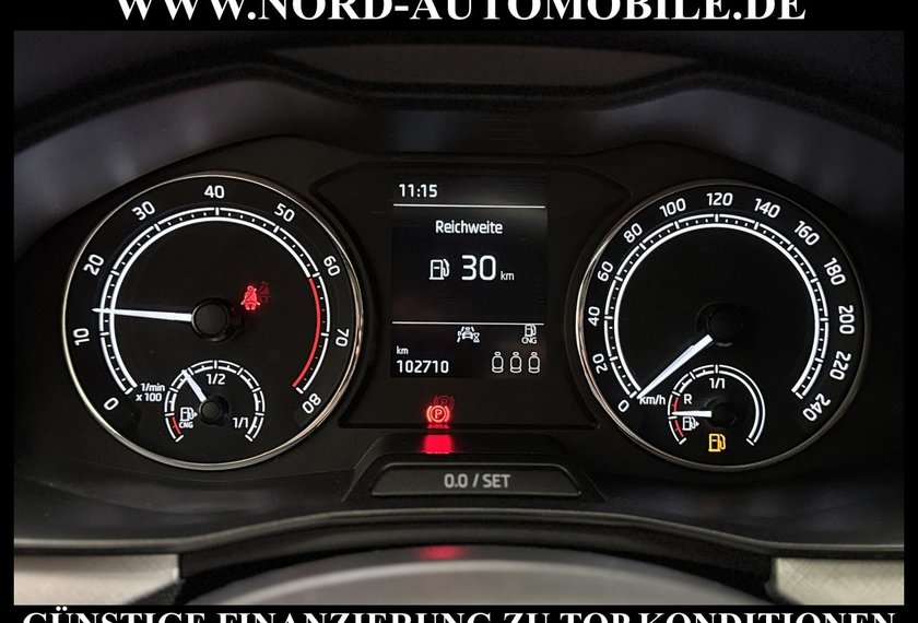 Skoda Kamiq Kamiq Ambition Tour 1.0 TGI G-TEC Kamera/LED/17