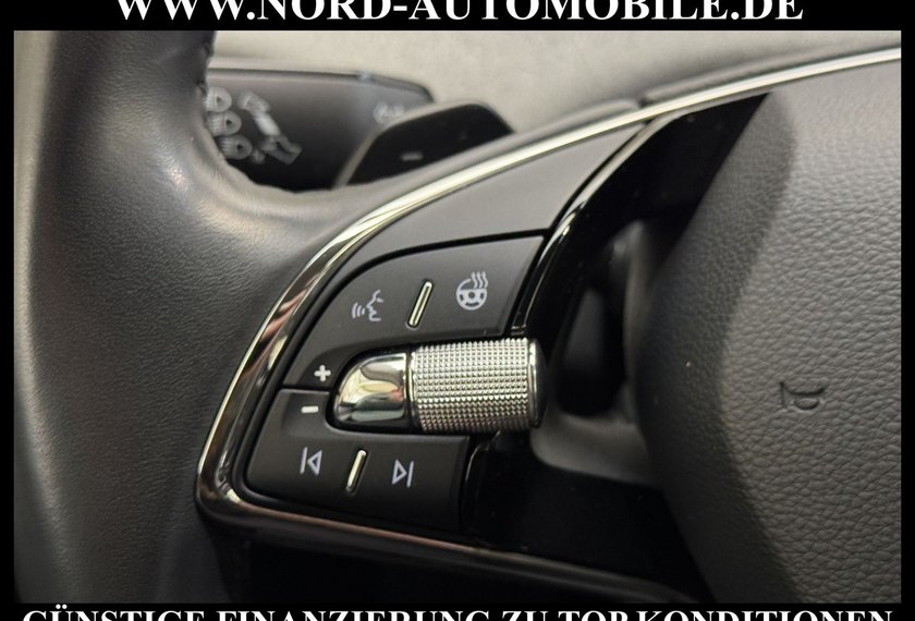 Skoda Enyaq Enyaq iV Lounge Wärmepumpe/20/Kamera/Side&amp;Lane/