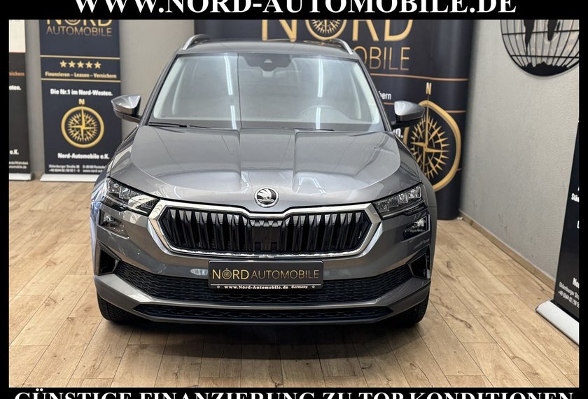 Skoda Karoq Karoq Ambition 2.0 TDI DSG Virt.Cockpit/Kamera/