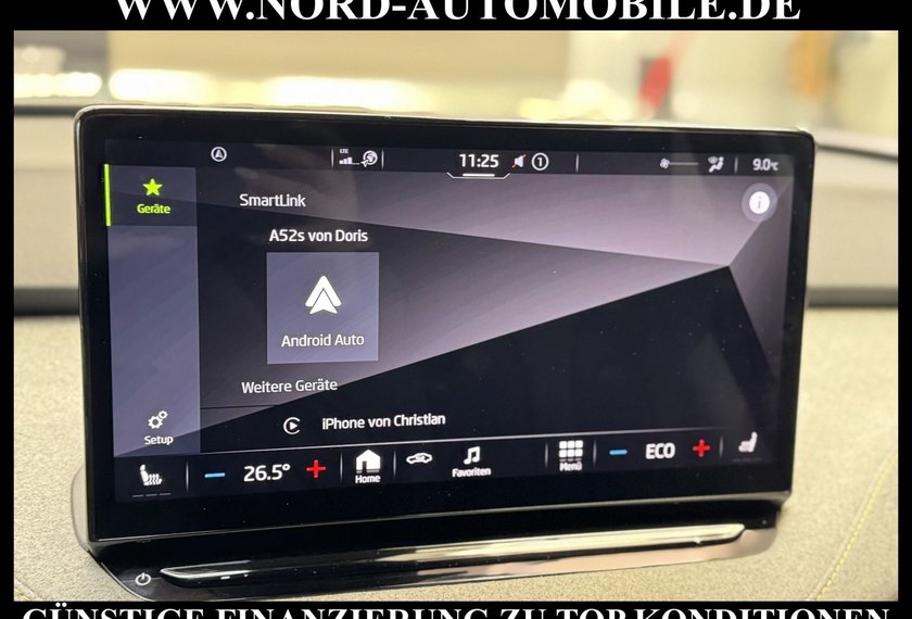 Skoda Enyaq Enyaq iV 80 Lodge Matrix/ACC/AHK/20/Kamera/Side&amp;