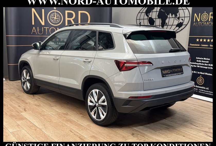 Skoda Karoq Karoq Style 2.0 TDI Navi/Kamera/Virt.Cockpit/18