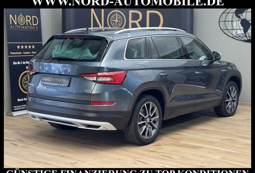 Skoda Kodiaq Kodiaq 2.0 TDI Scout 4x4 DSG StHz/AHK/Kamera/19