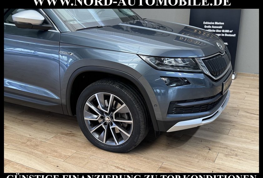 Skoda Kodiaq Kodiaq 2.0 TDI Scout 4x4 DSG StHz/AHK/Kamera/19