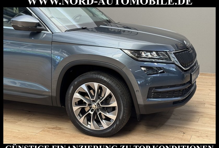 Skoda Kodiaq Kodiaq 2.0 TSI DSG Area View/Navi/LED/19/