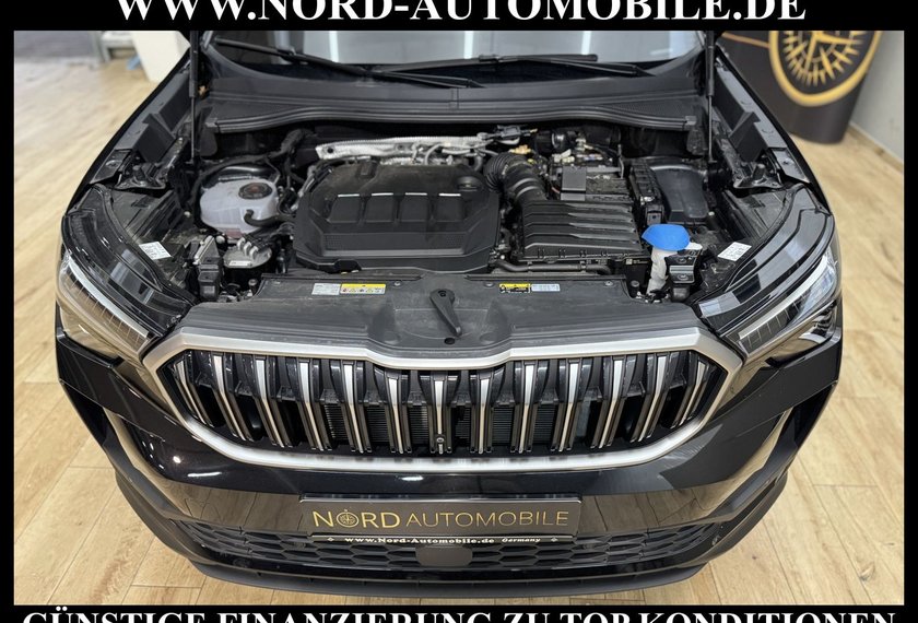 Skoda Kodiaq Kodiaq Selection 2.0 TDI DSG Leder/AHK/StHz/18