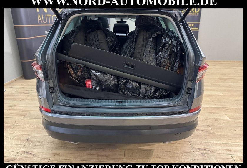 Skoda Kodiaq Kodiaq Ambition 2.0 TDI DSG Leder/AHK/Trittbrett