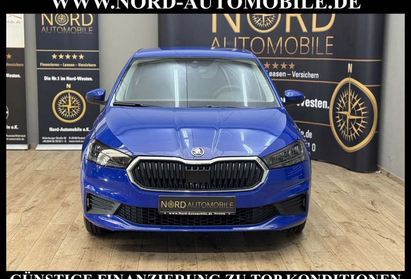 Skoda Fabia Fabia 1.0 MPI Easy LED/Spurhalteassistent