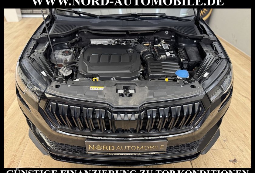 Skoda Karoq Karoq Sportline 2.0 TDI DSG Virt.Cock/Trittbrett