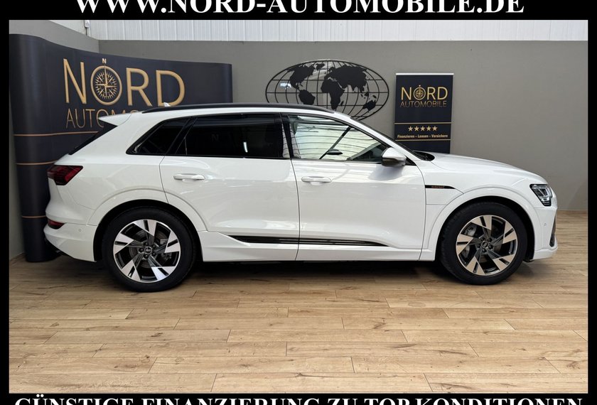 Audi e-tron e-tron 50 QU.S-Line Teilleder/Kamera/LED/Navi/20