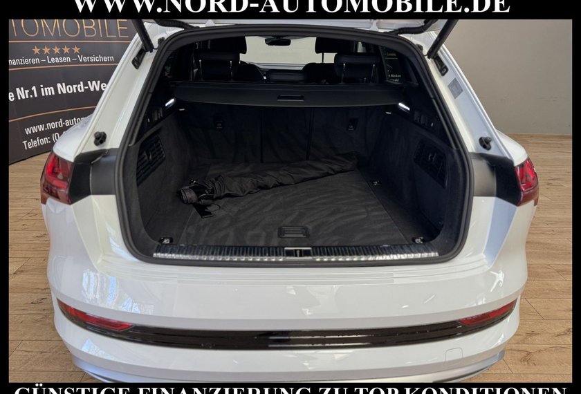 Audi e-tron e-tron 50 QU.S-Line Teilleder/Kamera/20/LED