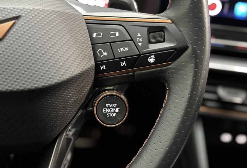 Cupra Formentor Formentor VZ 1.4 TSI e-HYBRID DSG Leder/AHK/19