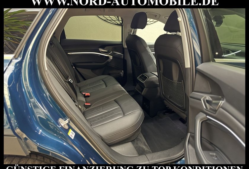 Audi e-tron e-tron qu. Automatik Teilleder/Kamera/20