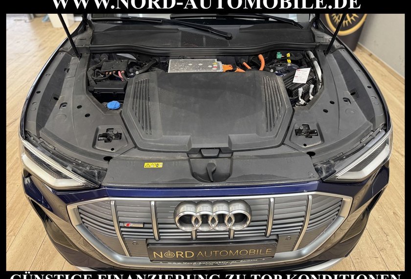 Audi e-tron e-tron 55 QU.S-Line Head-Up/Matrix/Side&amp;Lane/20