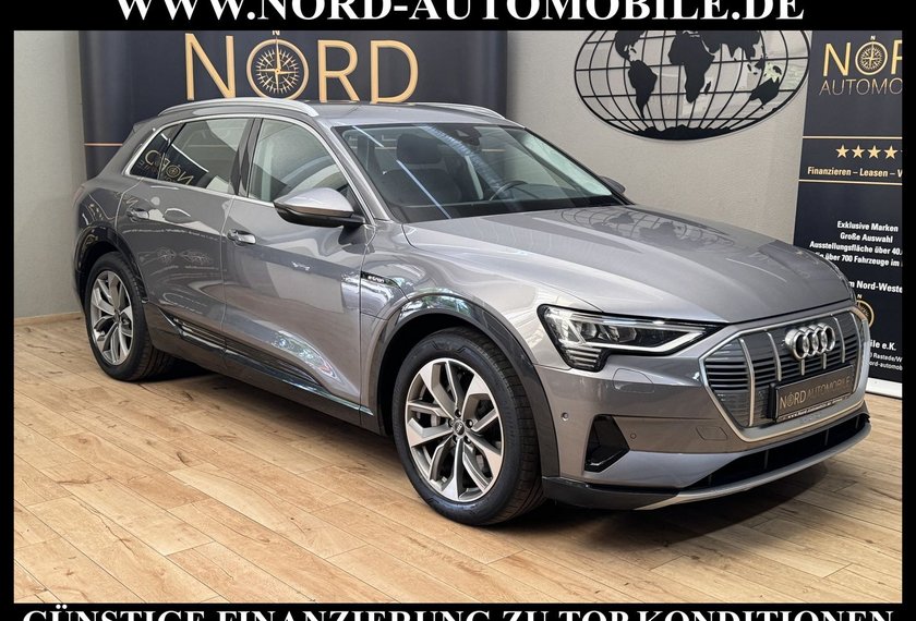 Audi e-tron e-tron 50 QU.Advanced Leder/AHK/Kamera/Matrix