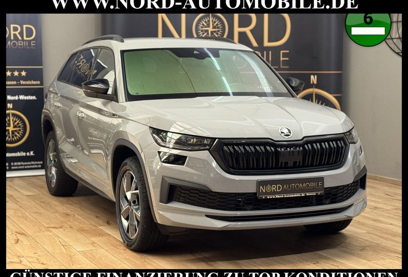 Skoda Kodiaq Kodiaq Sportline 2.0 TDI DSG Leder/AHK/Kamera/19
