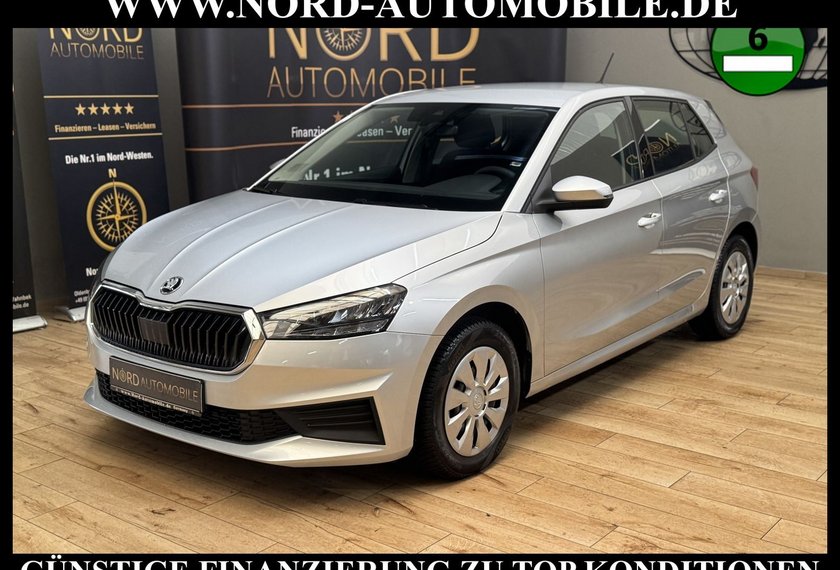Skoda Fabia Fabia Active 1.0 MPI SmartLink/PDC/Klima/LED