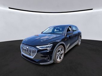 Audi e-tron e-tron QU. 55 Automatik Teilleder/Navi/LED/20