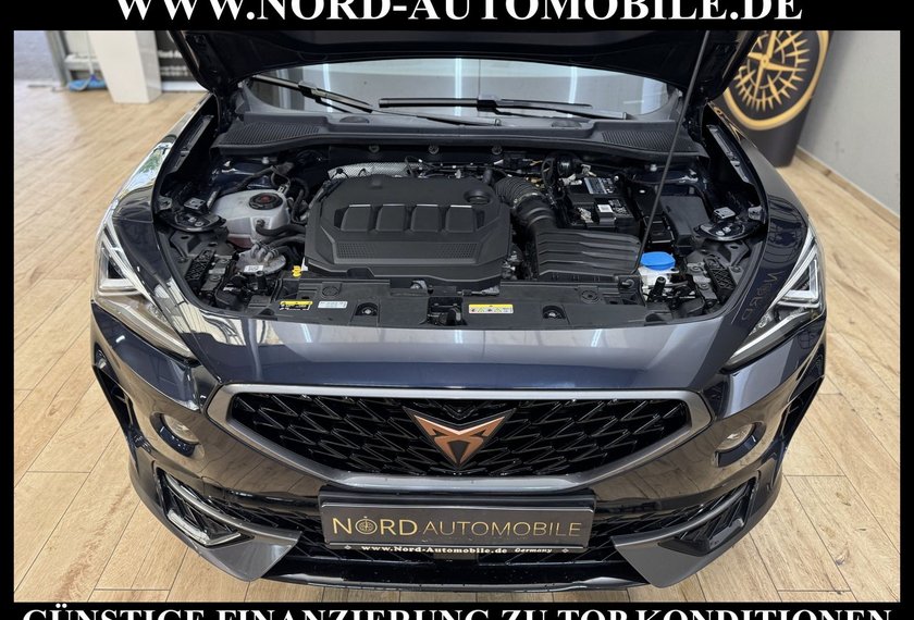 Cupra Formentor Formentor 2.0 TDI Navi/LED/Kamera/Leder/18