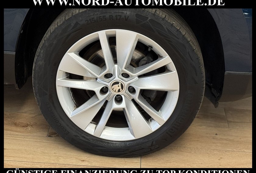 Skoda Karoq Karoq Ambition 2.0 TDI DSG Navi/PDC/SHZ/17