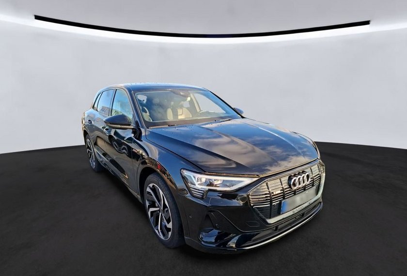 Audi e-tron e-tron 50 QU.S-Line Matrix/Kamera/21/