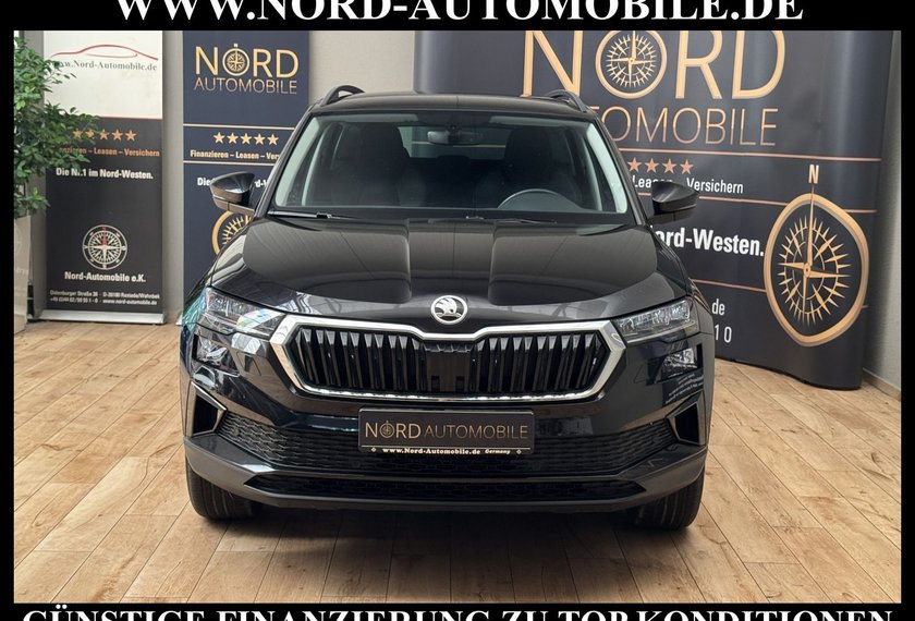 Skoda Karoq Karoq Style 2.0 TDI DSG Virt.Cockpit/Kamera/18