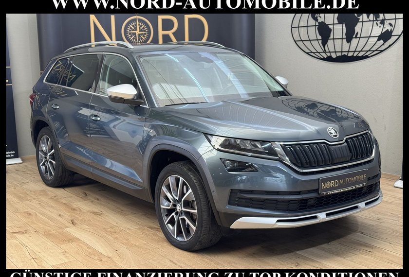 Skoda Kodiaq Kodiaq 2.0 TDI Scout 4x4 DSG StHz/AHK/Kamera/19