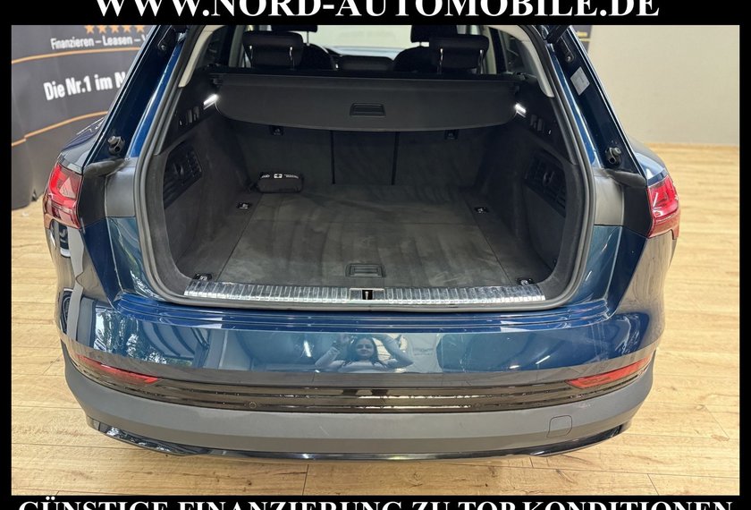 Audi e-tron e-tron qu. Automatik Teilleder/Kamera/20