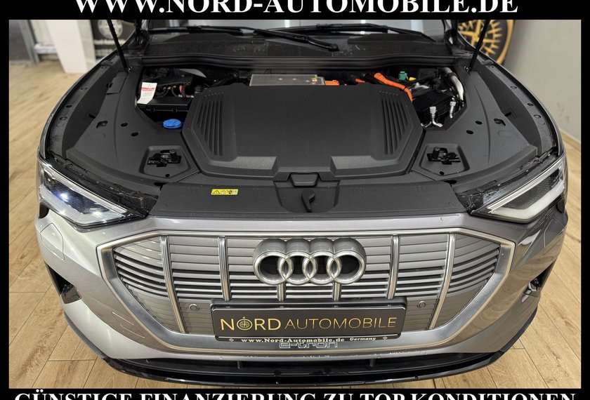Audi e-tron e-tron QU. Teilleder/Kamera/21/Navi/LED/UPE83/