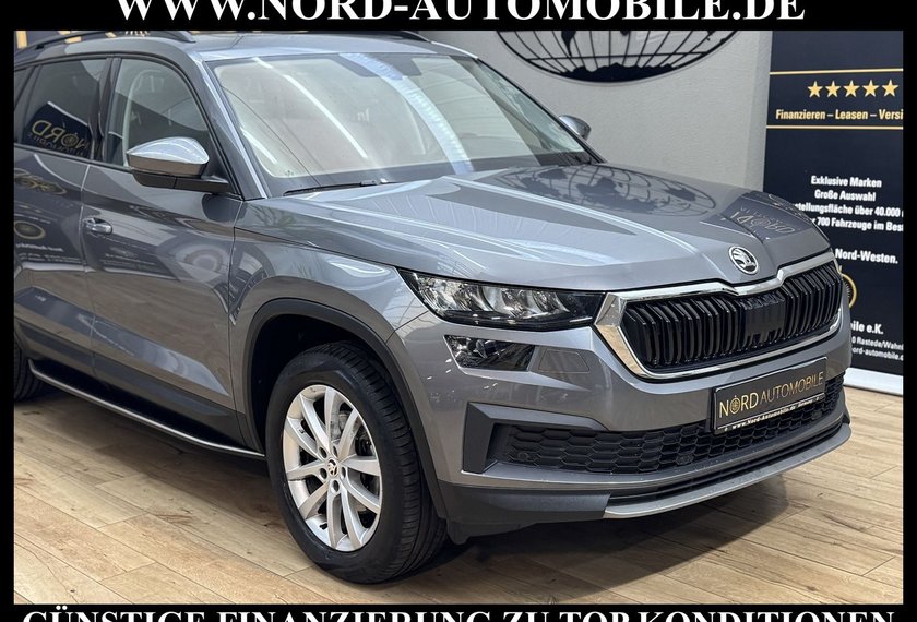 Skoda Kodiaq Kodiaq Ambition 2.0 TDI DSG Leder/AHK/Trittbrett