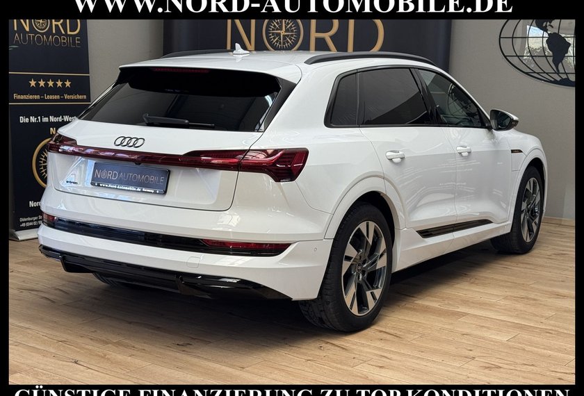 Audi e-tron e-tron 50 QU.S-Line Teilleder/Kamera/LED/Navi/20
