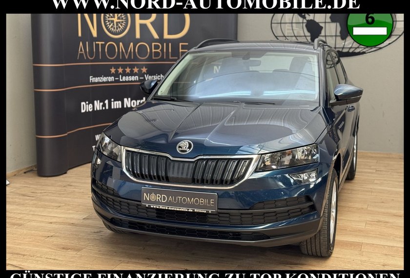 Skoda Karoq Karoq Ambition 2.0 TDI DSG Navi/PDC/SHZ/17