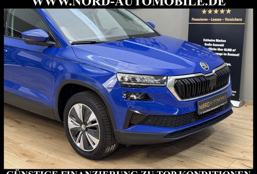 Skoda Karoq Karoq Ambition 2.0 TDI DSG Virt.Cockpit/Kamera