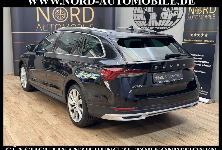 Skoda Octavia Octavia Combi 2.0 TDI DSG 4x4 Scout ACC/Navi/18