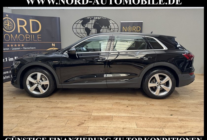 Audi e-tron e-tron 50 S-Line Int. Teilleder/AHK/Matrix/B&amp;O/