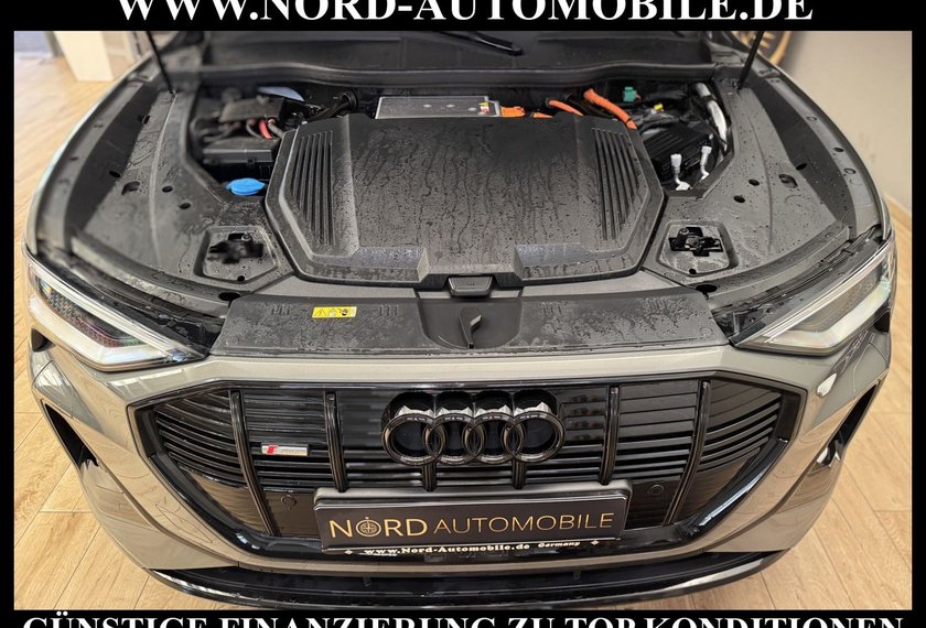 Audi e-tron e-tron 50 QU.S-Line Black Edition Pano/21/Matrix