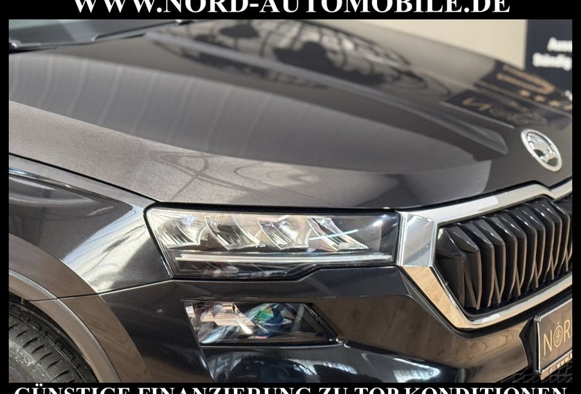Skoda Karoq Karoq Ambition 2.0 TDI DSG Kamera/Virt.Cockpit/