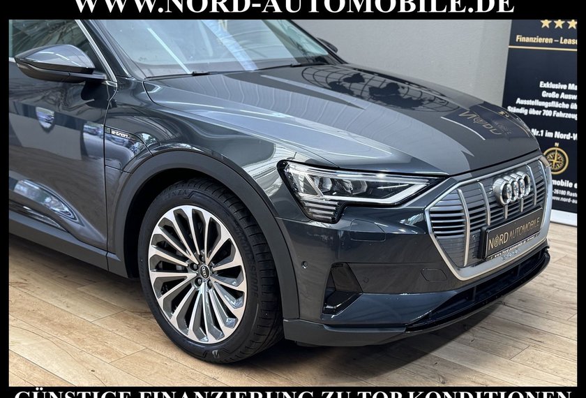 Audi e-tron e-tron 50 QU.Leder/Kamera/AHK/Panorama/21
