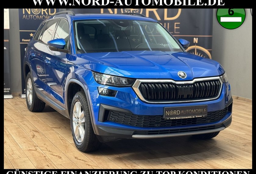 Skoda Kodiaq Kodiaq Ambition 2.0 TDI DSG 7-Sitzer/Pano/Virt.C