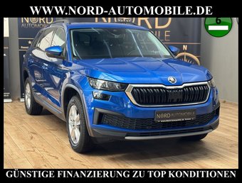 Skoda Kodiaq Kodiaq Ambition 2.0 TDI DSG 7-Sitzer/Pano/Virt.C